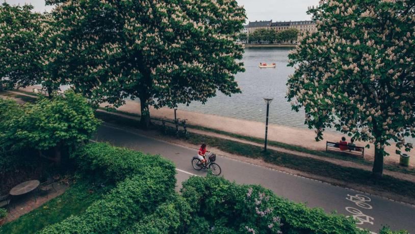 Biking by The Lakes in Copenhagen