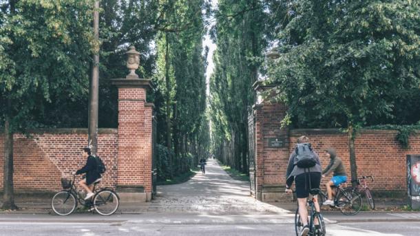 Assistens Cemetery | Sebastian Himmelstrup